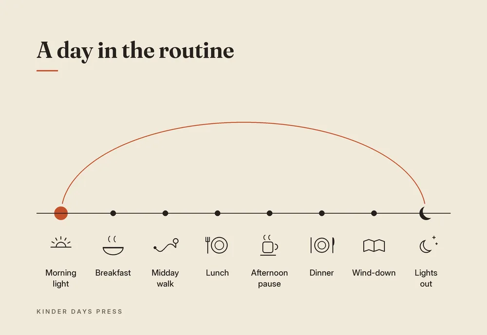 Daily rhythm timeline with five blocks: wake, breakfast, midday, evening meal, and wind-down.